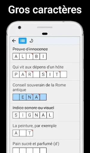 Mots Fléchés Screenshot 3