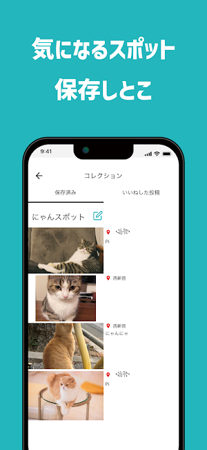 xross.club Screenshot 2