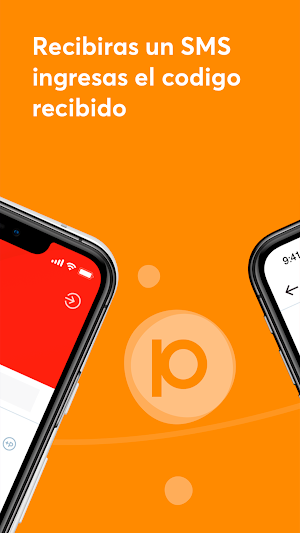 Punto Pago — Wallet, Payments Service Screenshot 1