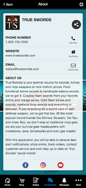 True Swords Screenshot 2
