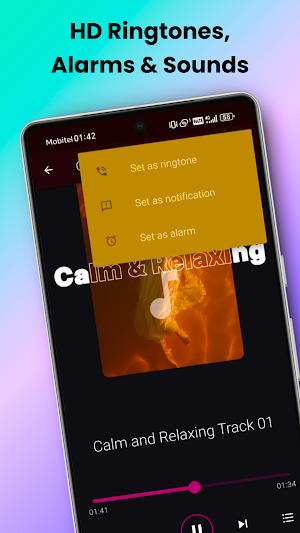 Ringtones Songs: HD MP3 Sounds Screenshot 3