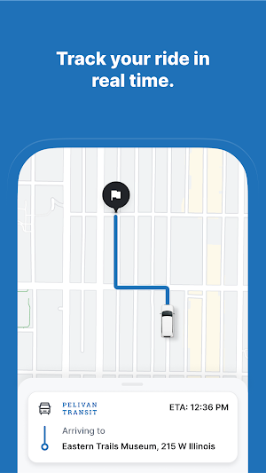 Pelivan Transit Screenshot 3