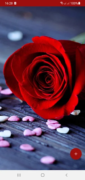 10000 Love Wallpapers Screenshot 0