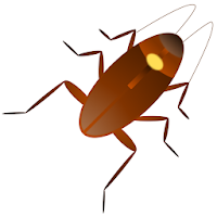Cockroaches