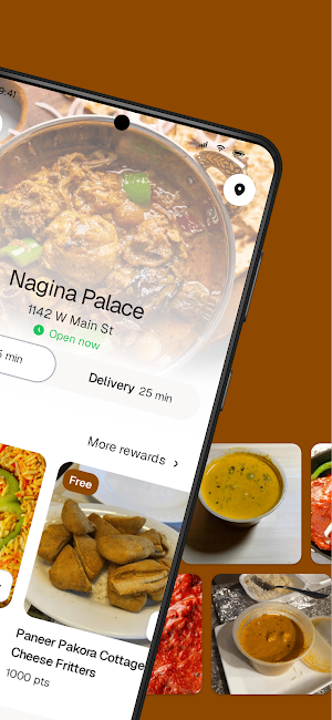 Nagina Palace To Go Screenshot 1