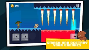 Super Cat Runner: 8-bit 2D Platformer Game | Retro Screenshot 1