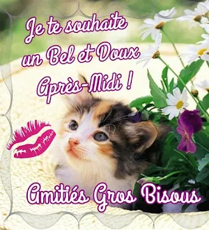 Bon après-midi Bonsoir Screenshot 1