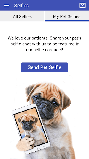Latham Animal Hospital Screenshot 3