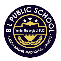 B L Public School