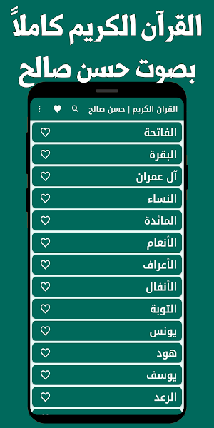 القران الكريم حسن صالح بدون نت Screenshot 3