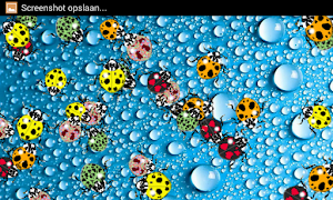 LadyBugs on water Screenshot 3