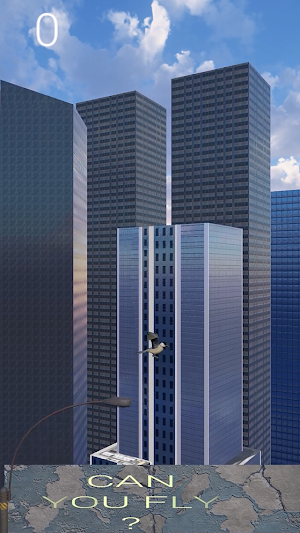 Can You Fly Screenshot 1