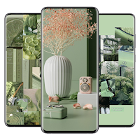 Sage Green Aesthetic Wallpaper