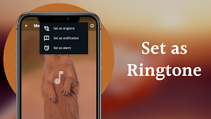 Mongoose Sounds Screenshot 3