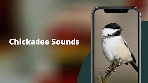 Chickadee Sounds Screenshot 1