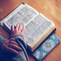 King James Study Bible (Full version)