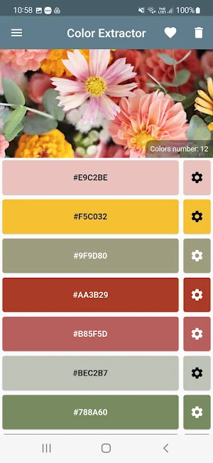 Colors Extrator Screenshot 1