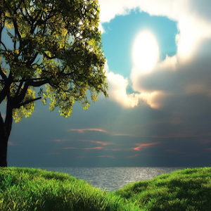 Nature Walpapers HD Screenshot 2
