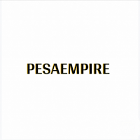 Pesaempire Agencies