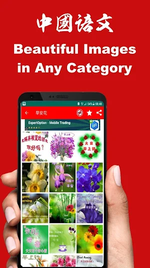 Chinese Good Morning Afternoon & Good Night Wishes Screenshot 2