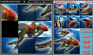 Magic Slide Puzzle A Fishes 1 Screenshot 0
