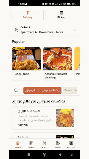 Ebn Masr Screenshot 1