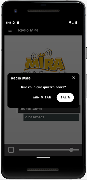 Radio Mira Screenshot 3