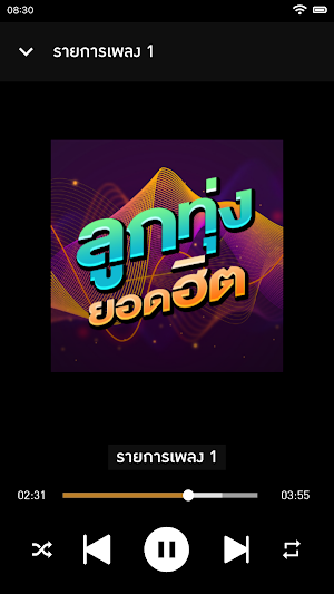 ลูกทุ่งยอดฮิต ฟังเพลงลูกทุ่งไม่ใช้เน็ต Screenshot 0