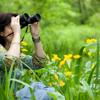 Birdwatching Wallpaper