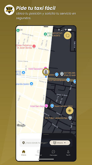 Taxis Plus Screenshot 1