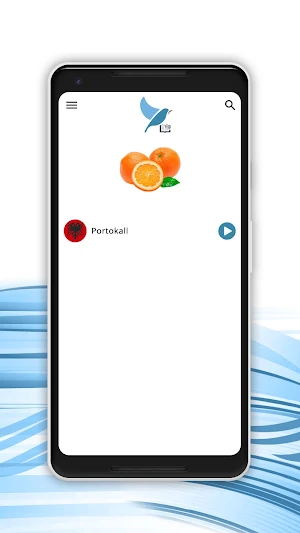 European Spanish - Albanian Di Screenshot 1