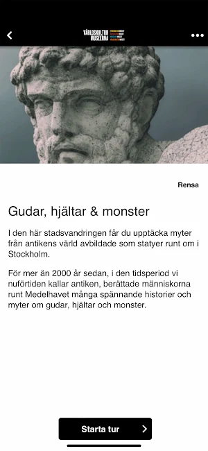 Världskulturmuseerna Screenshot 3
