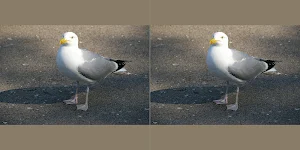 iPhotoVR Pro Screenshot 3