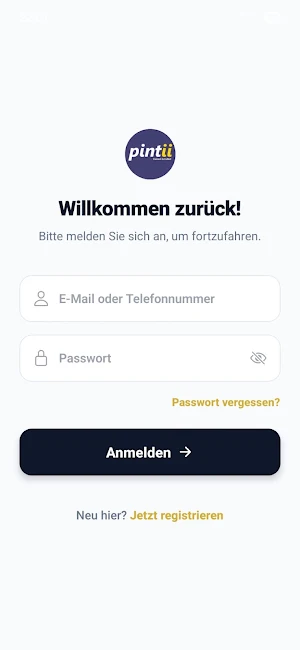 Pintii Screenshot 0