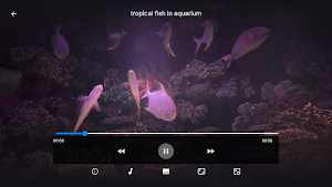 IPTV Smarter 4K Player Screenshot 3