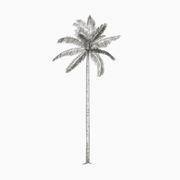Coconut Wellness Studios Ltd