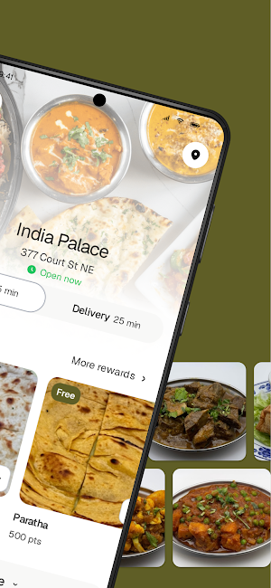 India Palace To Go Screenshot 1