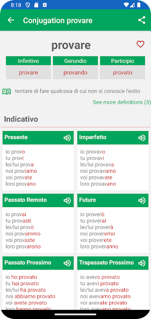 Italian Verb Conjugation Screenshot 2