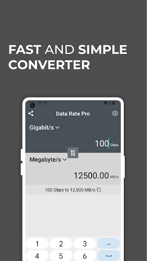 Data Rate Converter Pro Screenshot 0