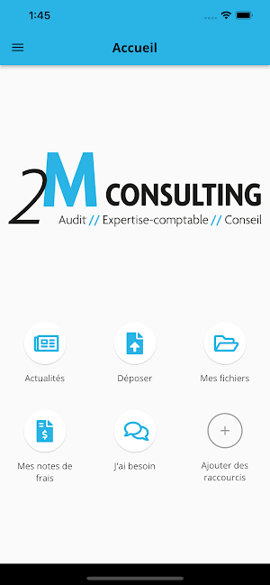 2M Consulting Screenshot 1