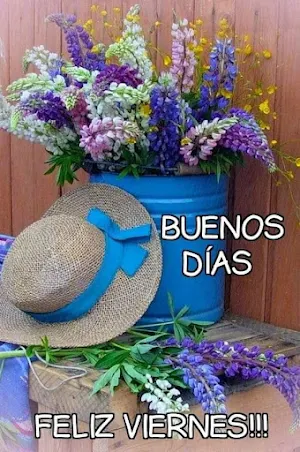 Buenos días Screenshot 3