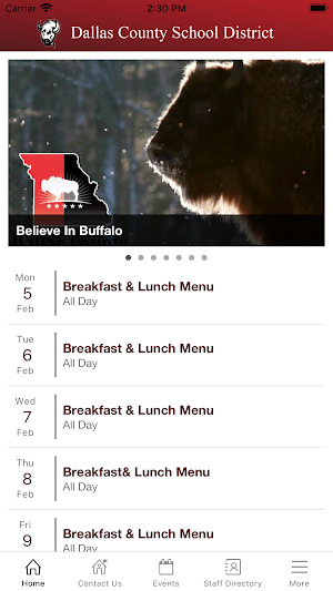 Dallas County School District Screenshot 0