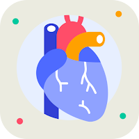 Cardiovascular System
