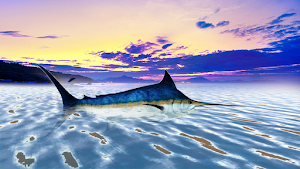 The Blue Marlin Screenshot 3