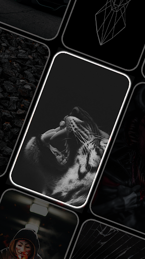Black Wallpaper HD Background Screenshot 3