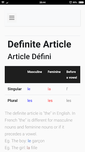 French Grammar Screenshot 2