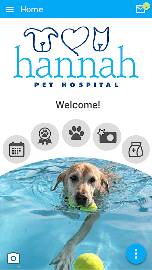 Hannah Pets Screenshot 0