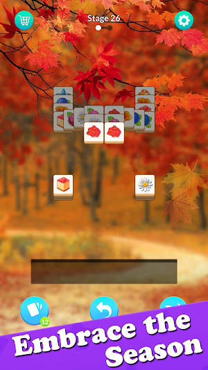 Seasonal Match Screenshot 0