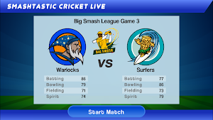 Smashtastic Cricket Screenshot 3