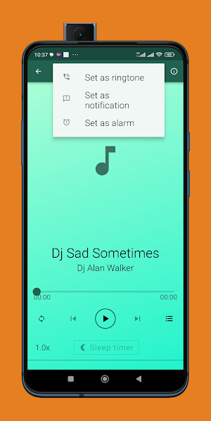 Kumpulan lagu Dj Alan Walker Screenshot 3